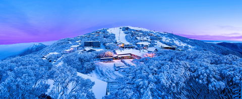Mt Buller Alpine Resort - New South Wales Tourism  0