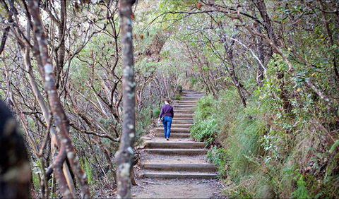 Princes Rock Walking Track - New South Wales Tourism  0