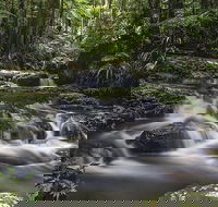 Protesters Falls Walking Track - New South Wales Tourism 