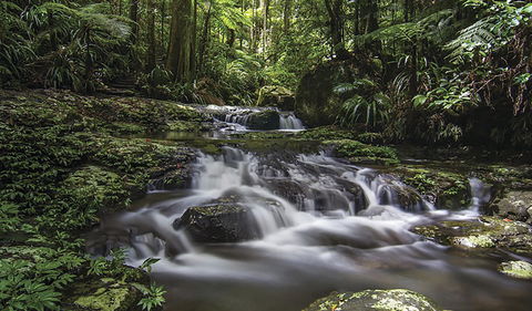Protesters Falls Walking Track - New South Wales Tourism  0