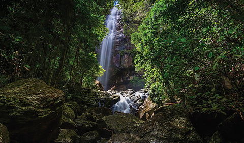 Protesters Falls Walking Track - New South Wales Tourism  1