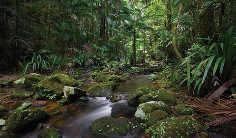 Protesters Falls Walking Track - New South Wales Tourism  2