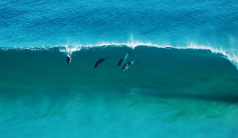 Sand Patch - New South Wales Tourism  1