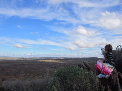 Sundown Nature Trail - New South Wales Tourism  1
