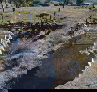 Wangaraleednie Monument  Ruins - New South Wales Tourism 