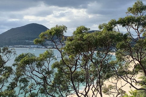 Newcastle Airport To The Tomaree Peninsula. - New South Wales Tourism  0