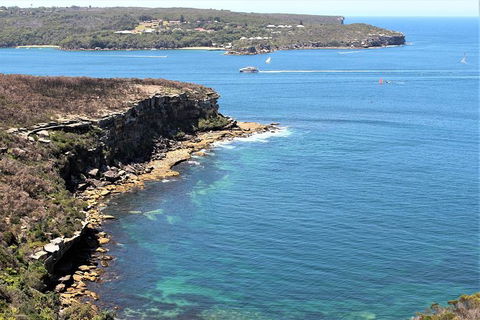 Half Day Manly Beach And More - New South Wales Tourism  9