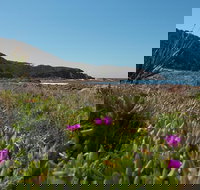 Big Rocky Full Day Guided Walk - New South Wales Tourism 