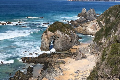 Narooma And Tilba Valley Private Tour - New South Wales Tourism  8