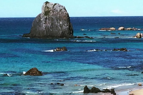 Narooma And Tilba Valley Private Tour - New South Wales Tourism  9