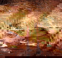Jenolan Caves Ribbon Cave Tour - New South Wales Tourism 