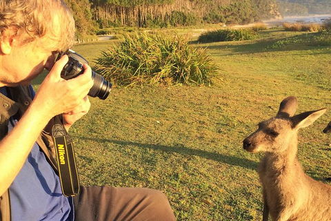Highlights Of The Eurobodalla (half Day Private Tour) - New South Wales Tourism  2