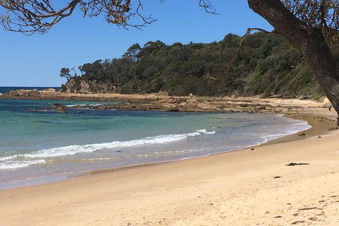 Highlights Of The Eurobodalla (half Day Private Tour) - New South Wales Tourism  5