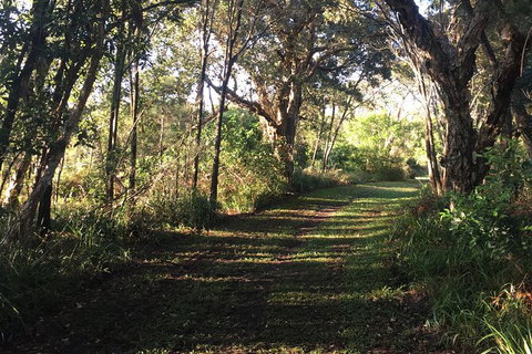 Coffs Harbour To Sawtell Bike Ride - New South Wales Tourism  7