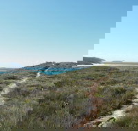 Boulder Bay Half Day Guided Walk - New South Wales Tourism 