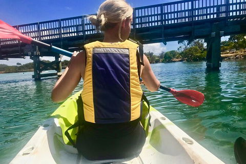 2-Hour Rental Kayak Double In Brunswick River - New South Wales Tourism  3