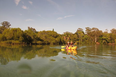2-Hour Rental Kayak Double In Brunswick River - New South Wales Tourism  5