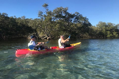 2-Hour Rental Kayak Double In Brunswick River - New South Wales Tourism  4