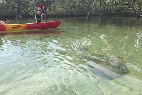 2-Hour Rental Kayak Double In Brunswick River - New South Wales Tourism  6