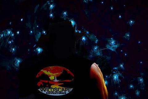 Night 4WD & Guided Glow Worm Tour Wildlife Spotlighting Blue Mountains Adventure - New South Wales Tourism  0