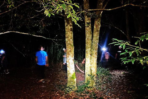 Night 4WD & Guided Glow Worm Tour Wildlife Spotlighting Blue Mountains Adventure - New South Wales Tourism  5