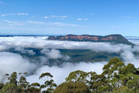 Small Group Blue Mountain Tour With A Local Guide - New South Wales Tourism  4
