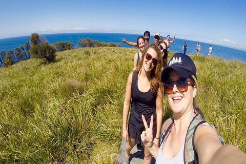 Royal National Park Adventure & Hike, Figure 8 Pools - New South Wales Tourism  2
