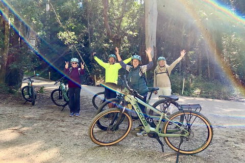 Guided E Bike Tour - Unicorn Falls & National Park - New South Wales Tourism  3