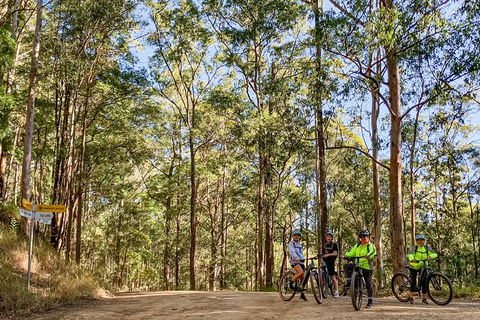 Guided E Bike Tour - Unicorn Falls & National Park - New South Wales Tourism  10
