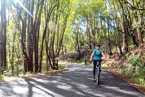Guided E Bike Tour - Unicorn Falls & National Park - New South Wales Tourism  16