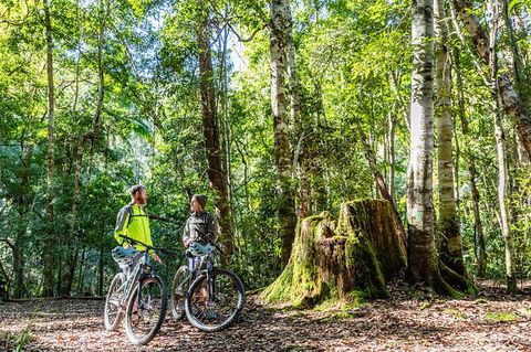 Guided E Bike Tour - Unicorn Falls & National Park - New South Wales Tourism  14