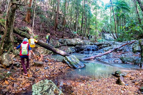 Guided E Bike Tour - Unicorn Falls & National Park - New South Wales Tourism  17