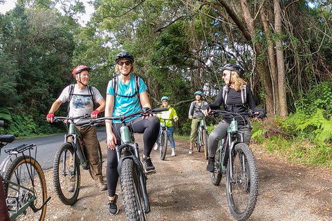 Guided E Bike Tour - Unicorn Falls & National Park - New South Wales Tourism  11