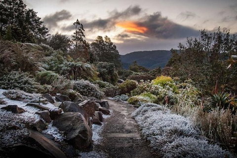 Blue Mountains Botanic Garden And Bilpin Tour From Katoomba With Cider Tasting - New South Wales Tourism  2