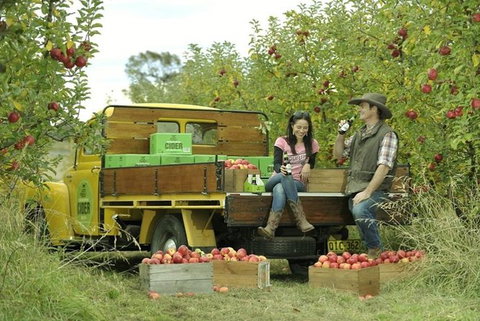 Blue Mountains Botanic Garden And Bilpin Tour From Katoomba With Cider Tasting - New South Wales Tourism  0