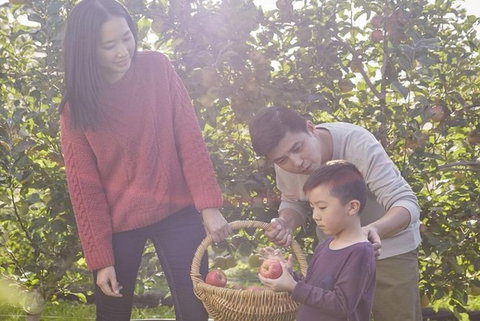Blue Mountains Botanic Garden And Bilpin Tour From Katoomba With Cider Tasting - New South Wales Tourism  1