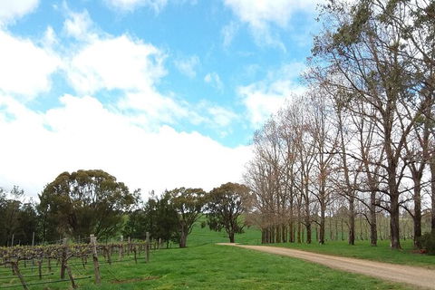 All-inclusive Morning Wine Tour In Orange - New South Wales Tourism  8