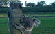 The Secret Vines Experience Port Macquarie - thumb 1