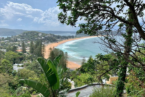 Sydney\'s Northern Beaches & Ku-ring-gai National Park Small Tour Departing Manly - New South Wales Tourism  2