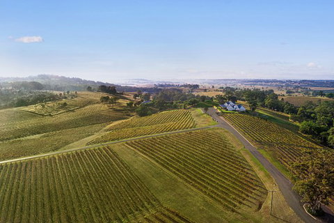 Audrey Wilkinson Vineyard: Fromage And Fortified Wine Experience - New South Wales Tourism  1
