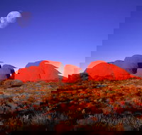 Kata Tjuta Afternoon Walpa Gorge Tour - New South Wales Tourism 