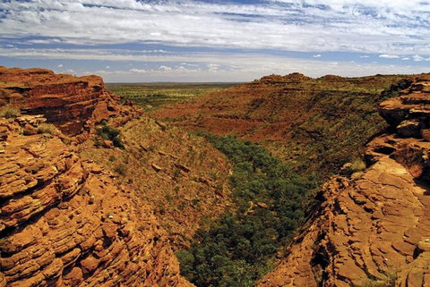 The Amazing Kings Canyon: 4-Hours Walking Tour And Hike - New South Wales Tourism  1