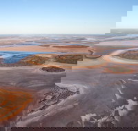 Helicopter Scenic Lizard Safari - New South Wales Tourism 