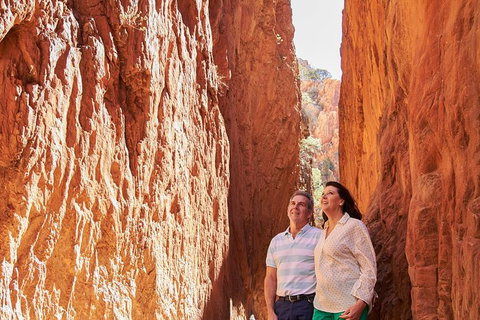 Best Of Alice Springs Full Day Tour - New South Wales Tourism  4