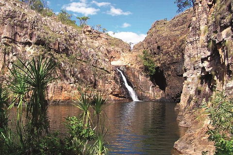 Kakadu, Katherine & Litchfield Adventure - New South Wales Tourism  1