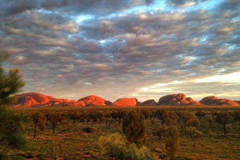 5-Hour Kata Tjuta Sunrise Tour From Ayers Rock With Breakfast - New South Wales Tourism  0