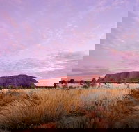 Sunset Australian Barbecue Dinner in Uluru - New South Wales Tourism 