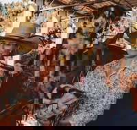 Half Hour Group Horse Riding Experience - New South Wales Tourism 