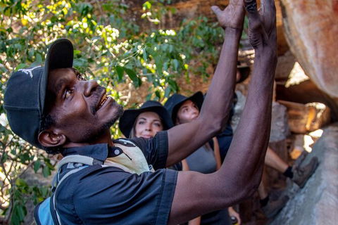Arnhem Land Injalak Hill Full-Day Tour From Darwin - New South Wales Tourism  0
