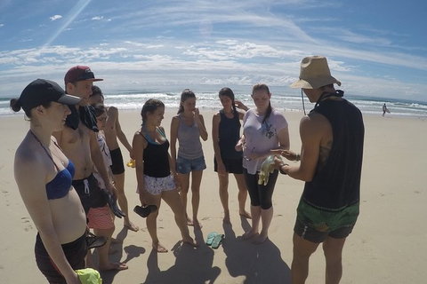 Half Day Dolphin Kayaking And Snorkeling Tour - New South Wales Tourism  6